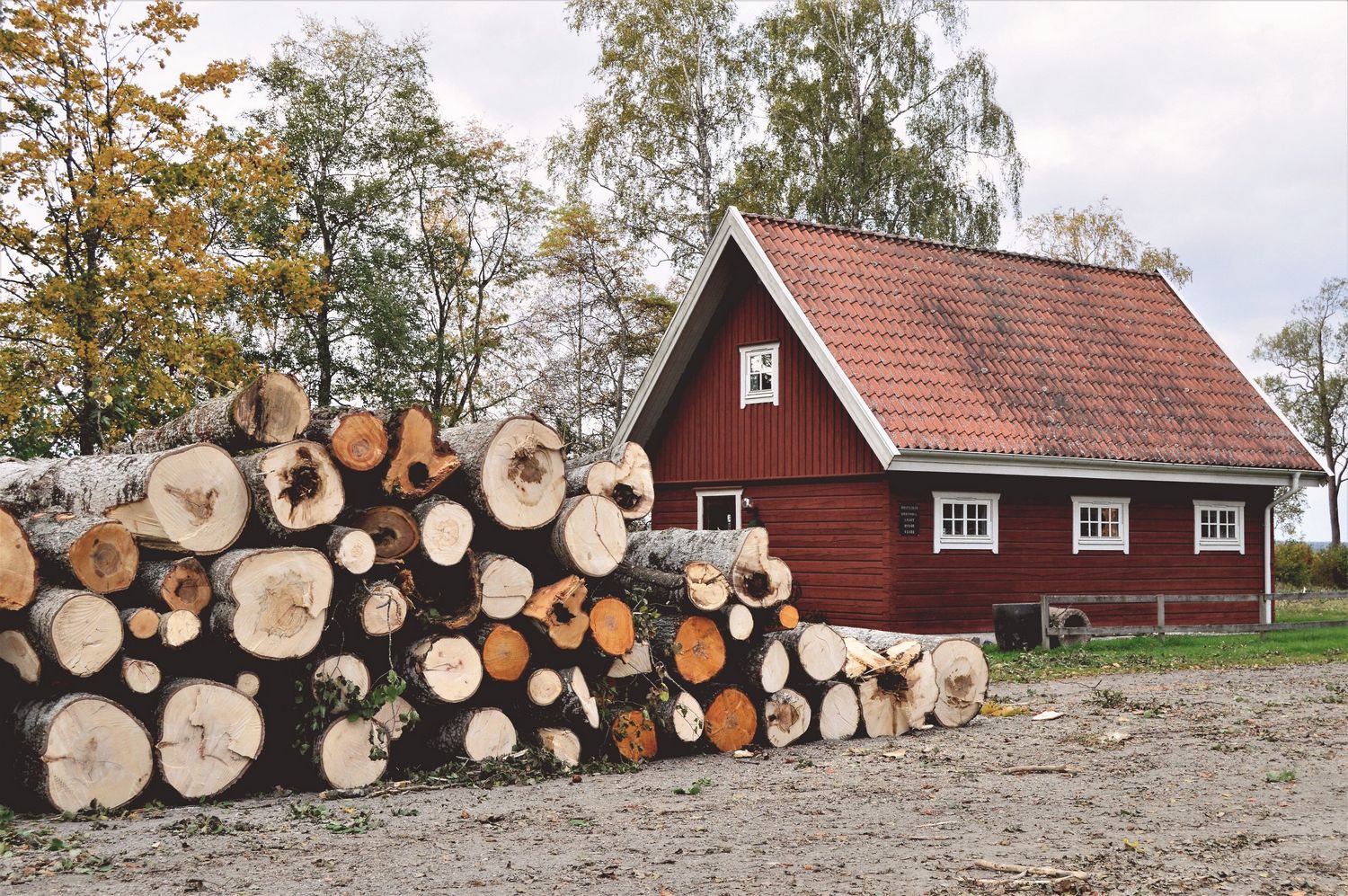 Wieloletni dom z drewna – jak go zbudować?
